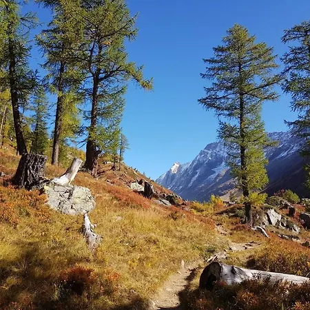 Domek alpejski In With Sauna And Wi-fi *